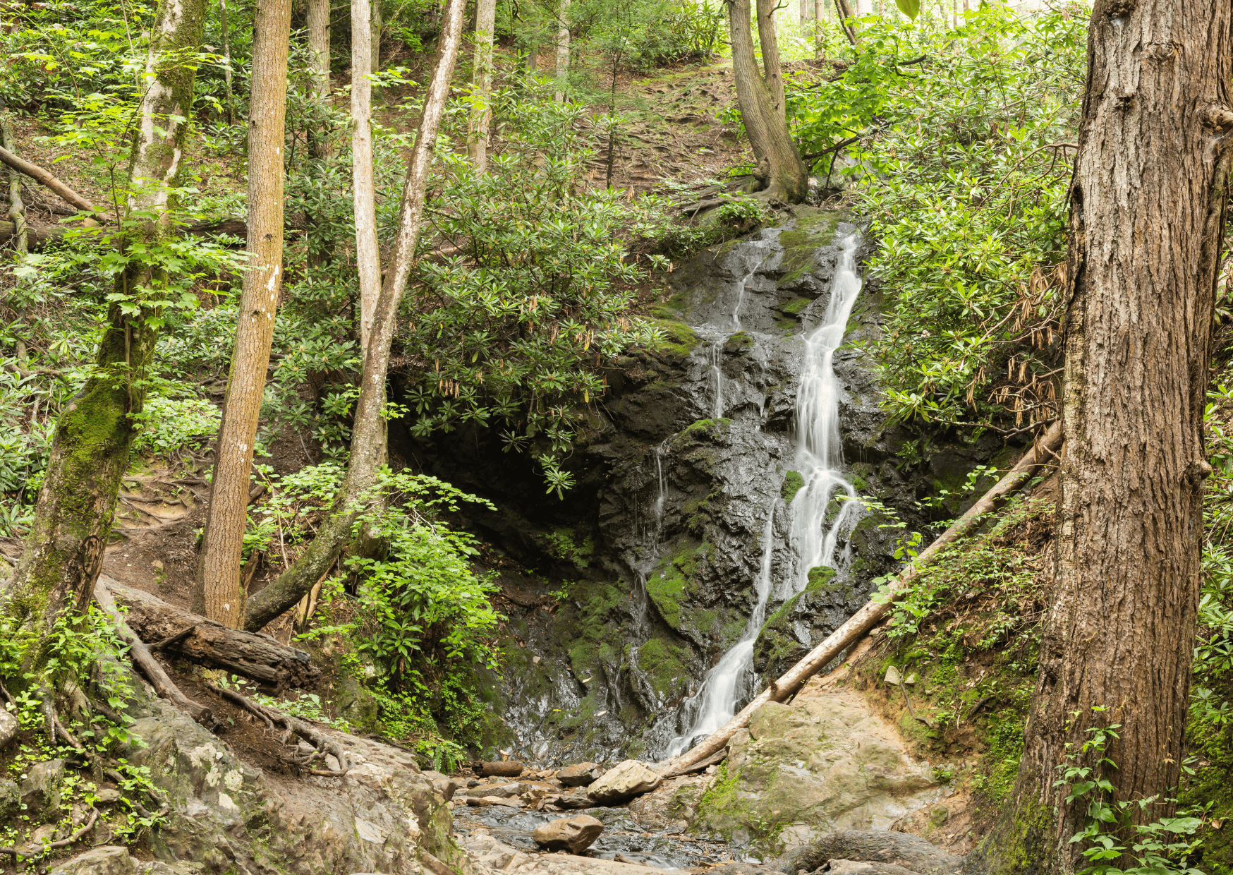 Planning a Trip to North Carolina Great Smoky Mountains