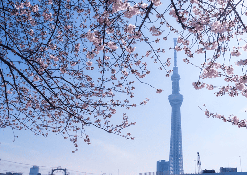 36 Hours in Tokyo Views from the Tokyo Skytree Observation Deck