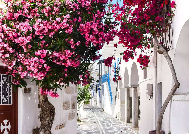 12 Favorite Vacation Picks for Americans in 2025, Forget About Santorini and Mykonos in Greece and Visit These 13 Places Instead, How To Spend 3 Days in the Greek Islands Without Breaking the Bank, 5 Amazing Greek Islands to Visit That Aren't Santorini or Mykonos, 8 Reasons Why Not to Visit Greece And 7 Reasons To Visit, 20 Common Mistakes To Avoid In Greek Islands