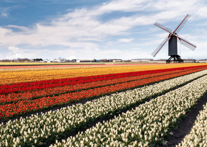 Best Places to Visit in Europe in Spring
