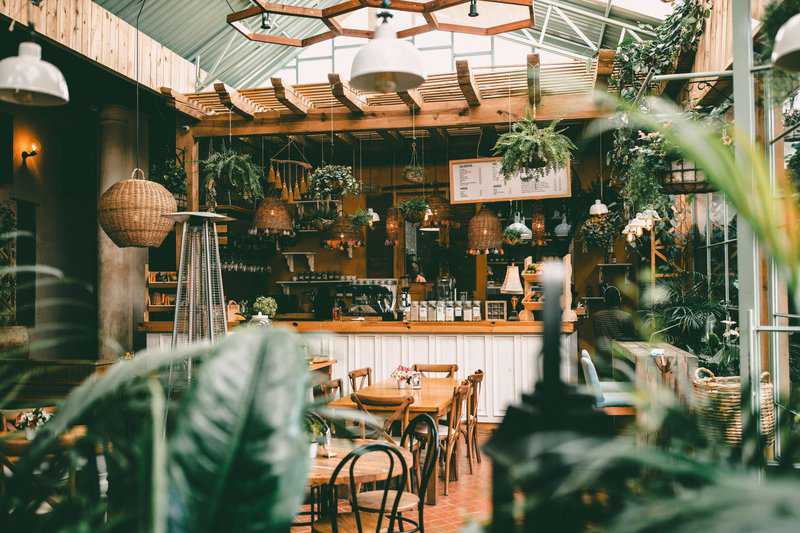 beautiful coffee shop in Mexico City