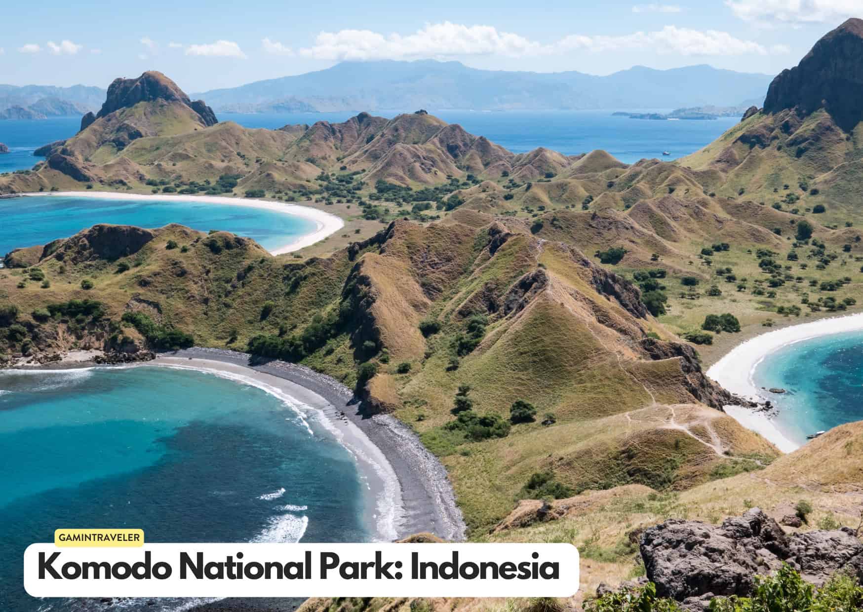 Can't Afford an African Safari? 10 Safaris Around the World Cheaper Than An African Safari