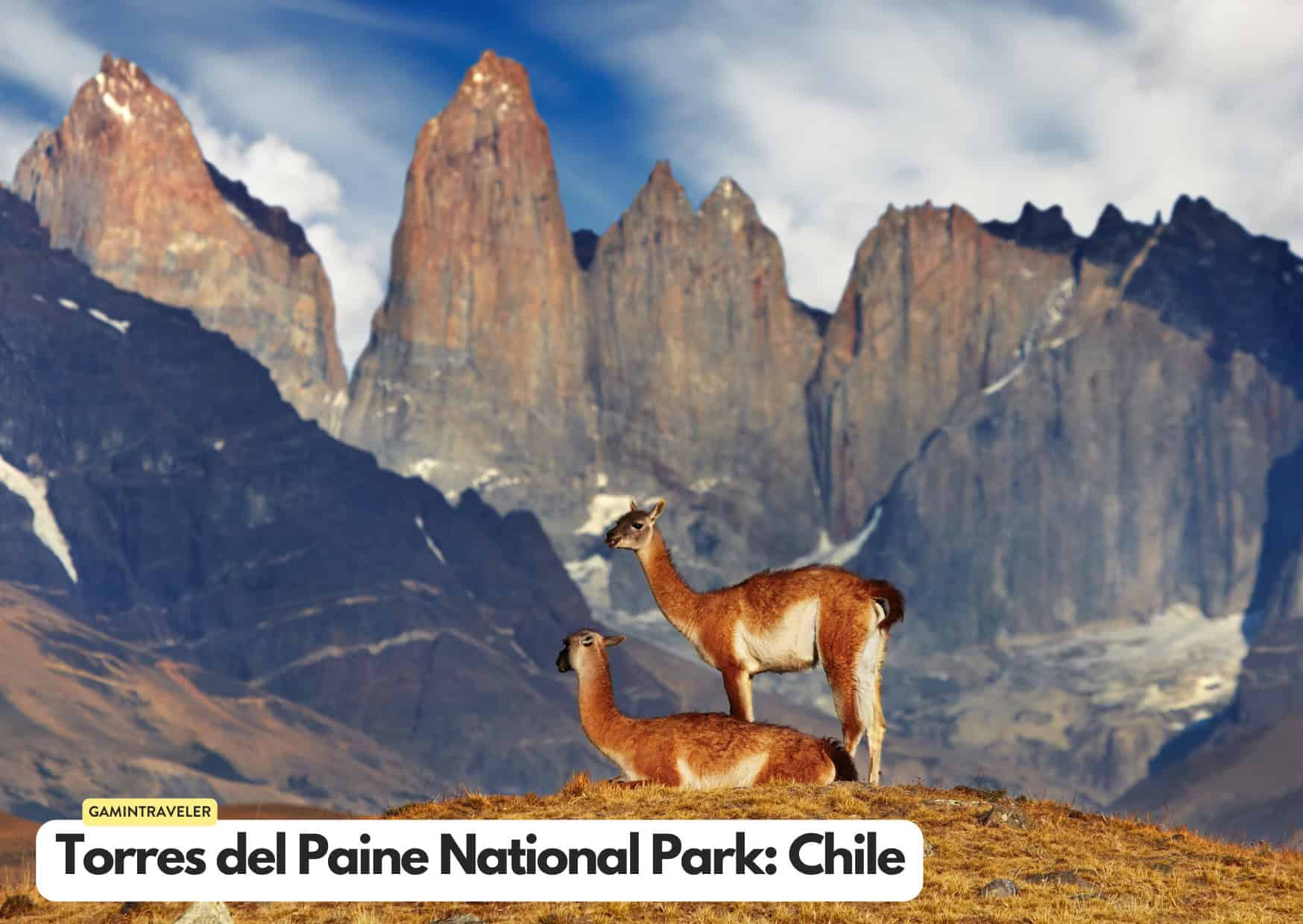 Torres del Paine National Park in Chile Safaris around the world