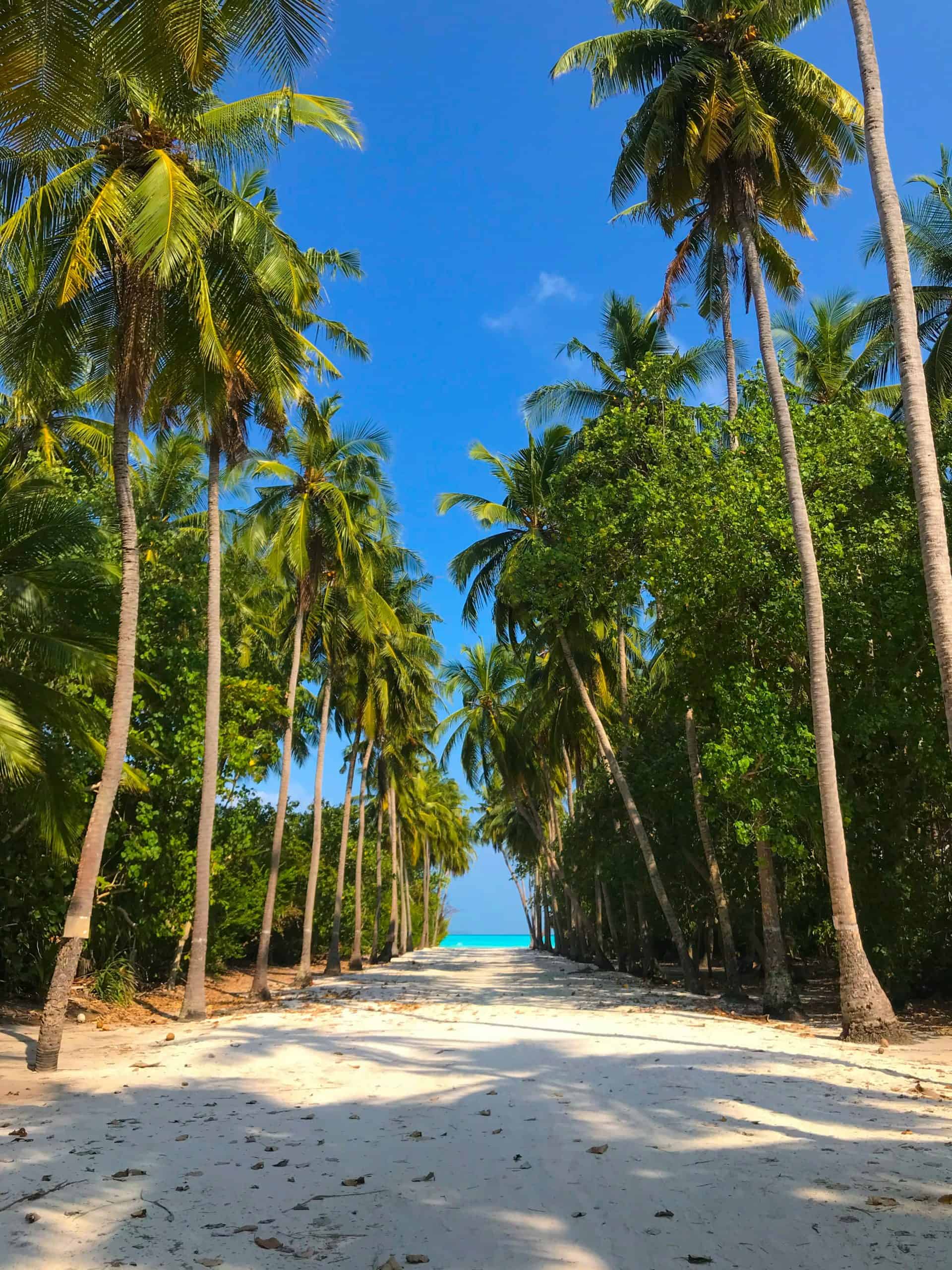 10 Reasons Why Travel Is Overrated