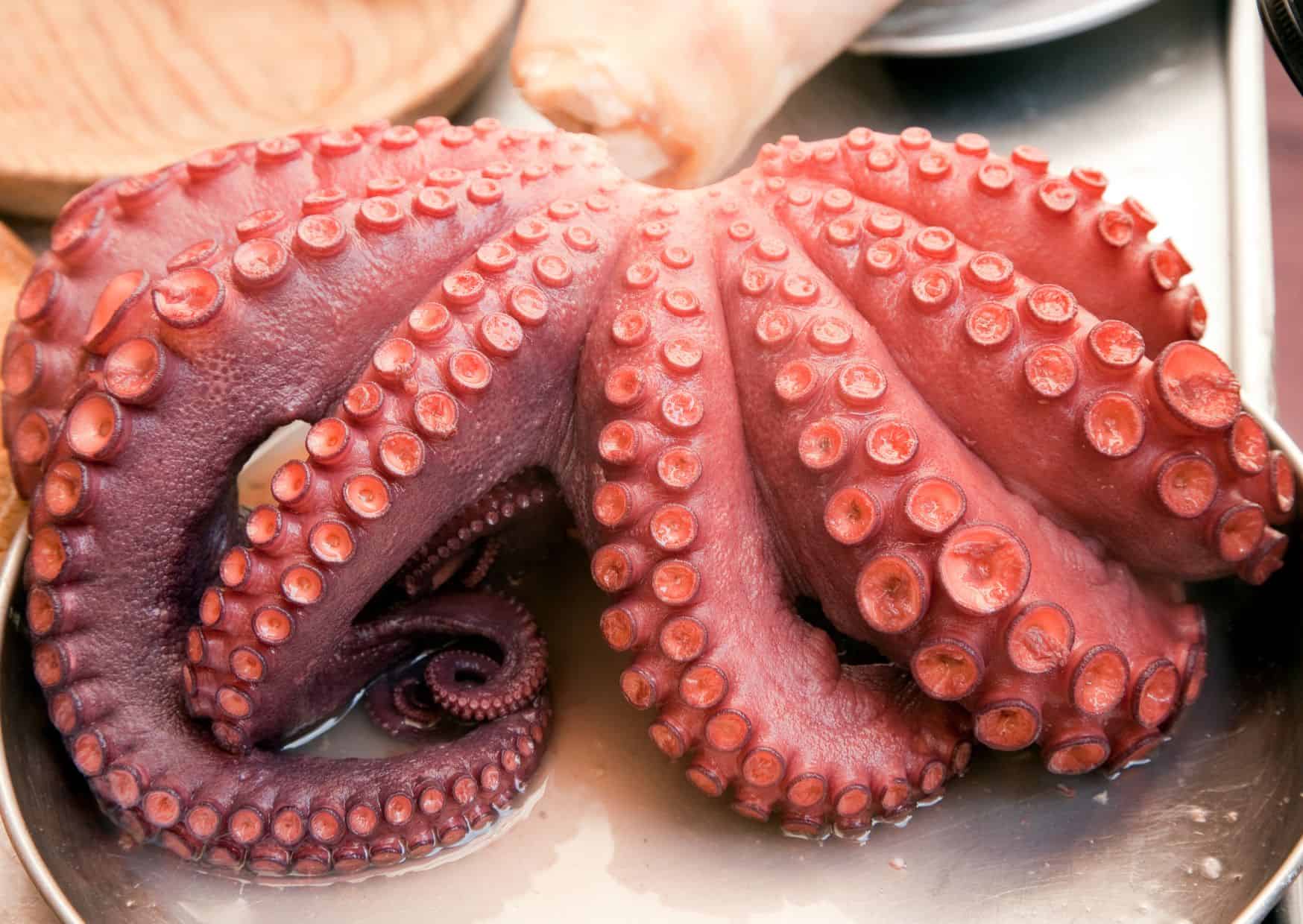 How To Make Pulpo a la Gallega Galician-Style Octopus (Recipe Guide)