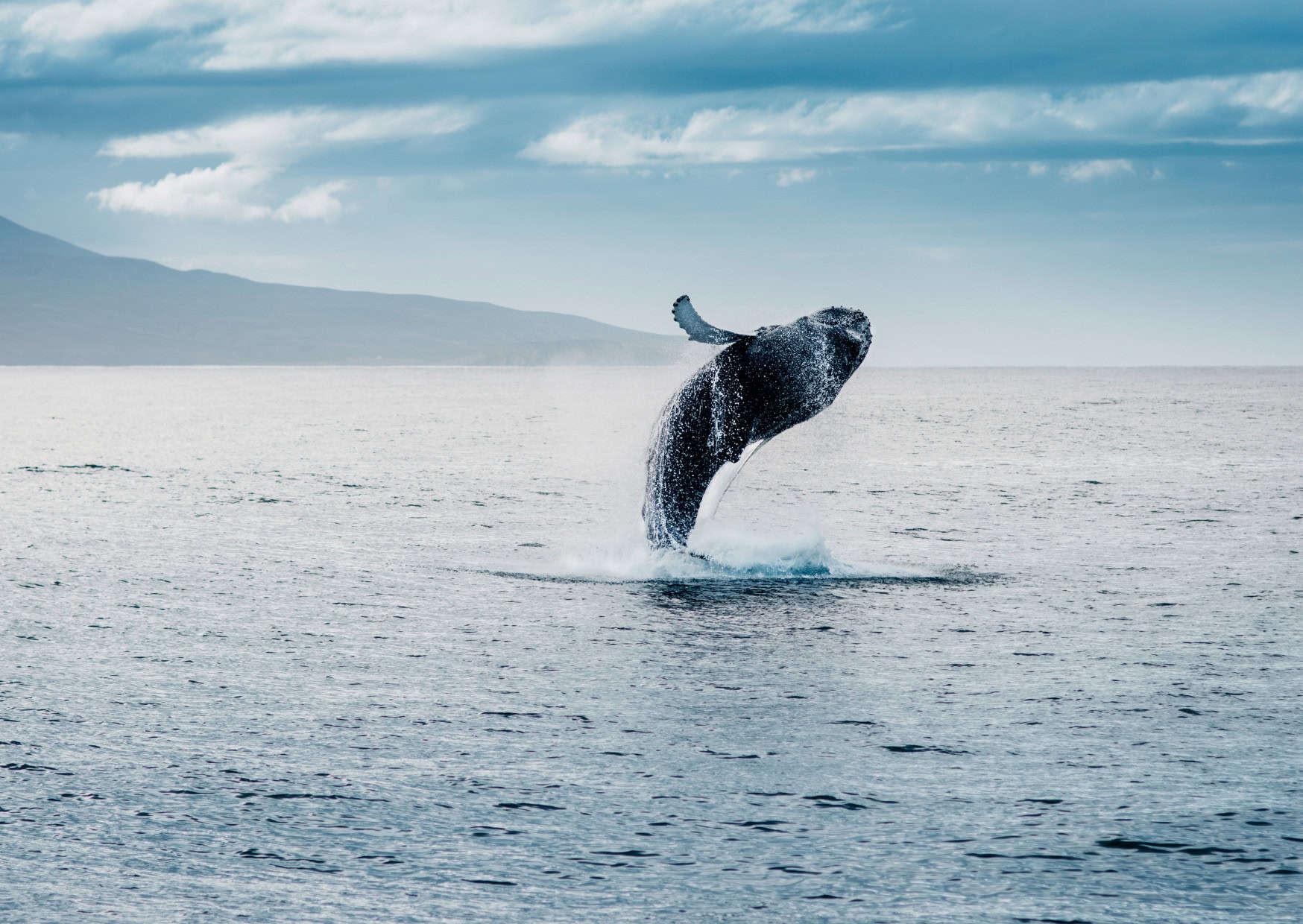 Don’t Do This in Iceland: 20 Things Not to Do in Iceland