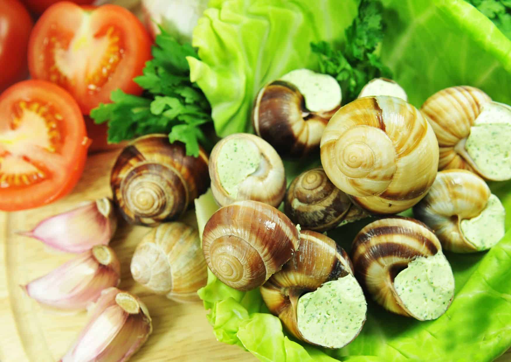 How To Make Escargots (Recipe Guide)