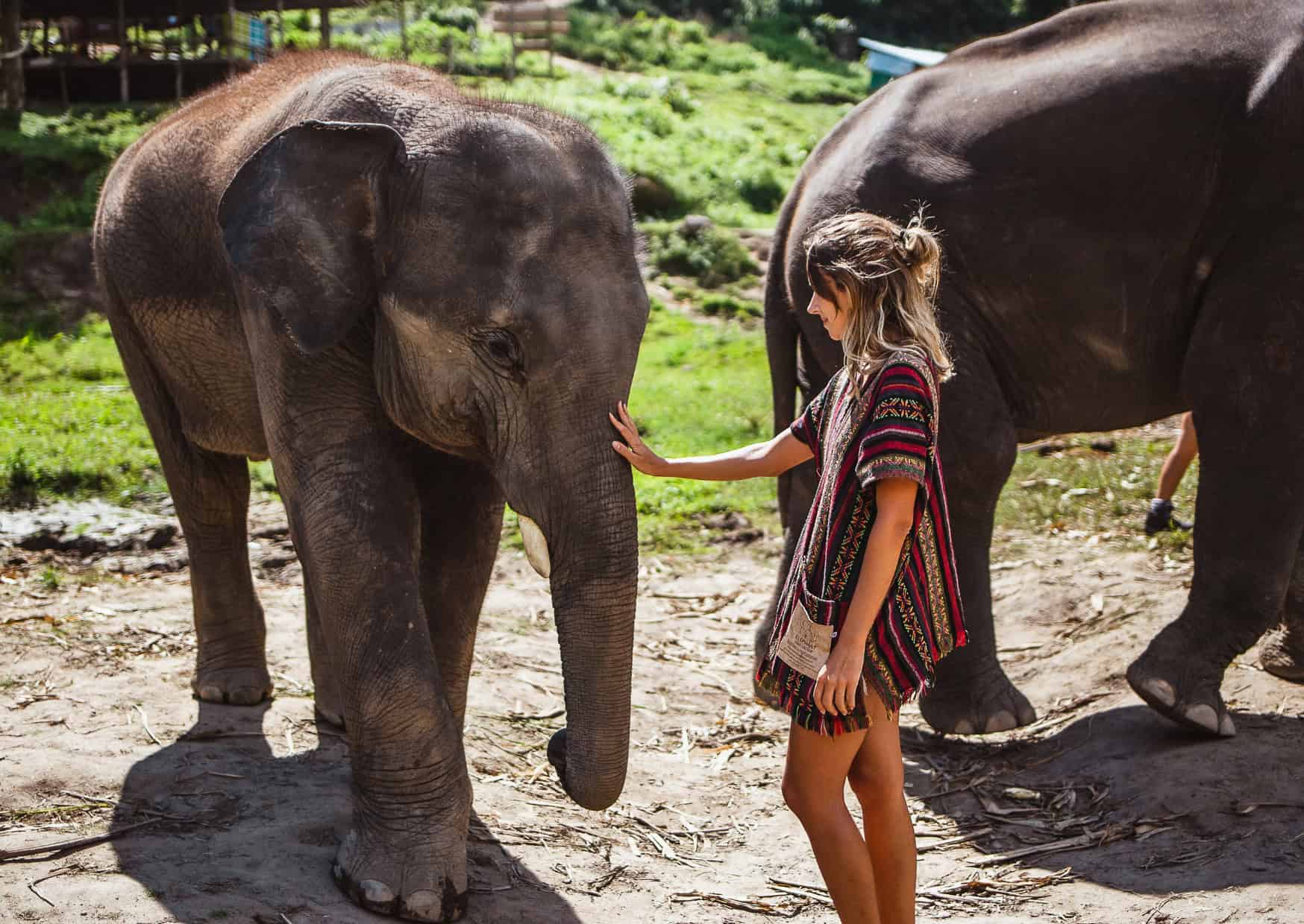 wildlife travel 10 Ways Extreme Weather is Changing Your Travel Plans