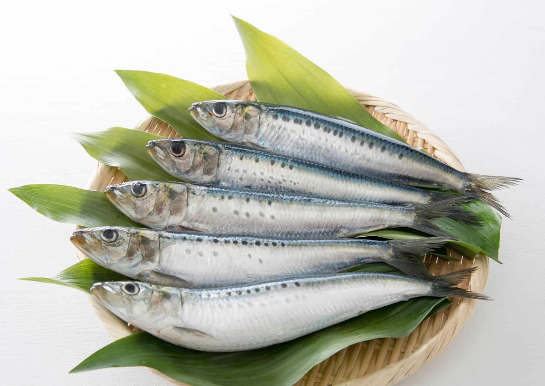 How To Make Homemade Sarde in Saor Sweet and Sour Sardines (Recipe Guide)