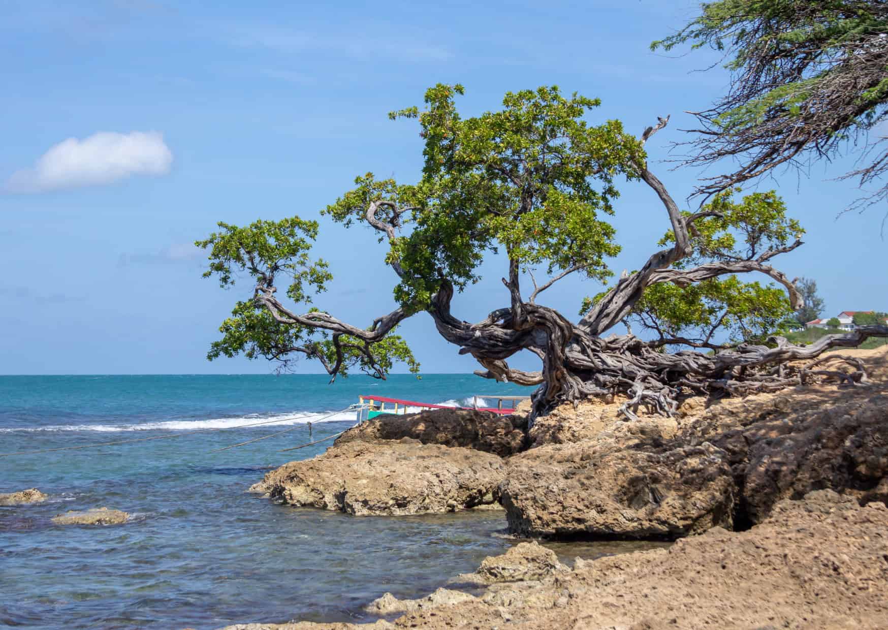 Treasure Beach Jamaica Best Carribean Beaches Beyond the Tourist Traps