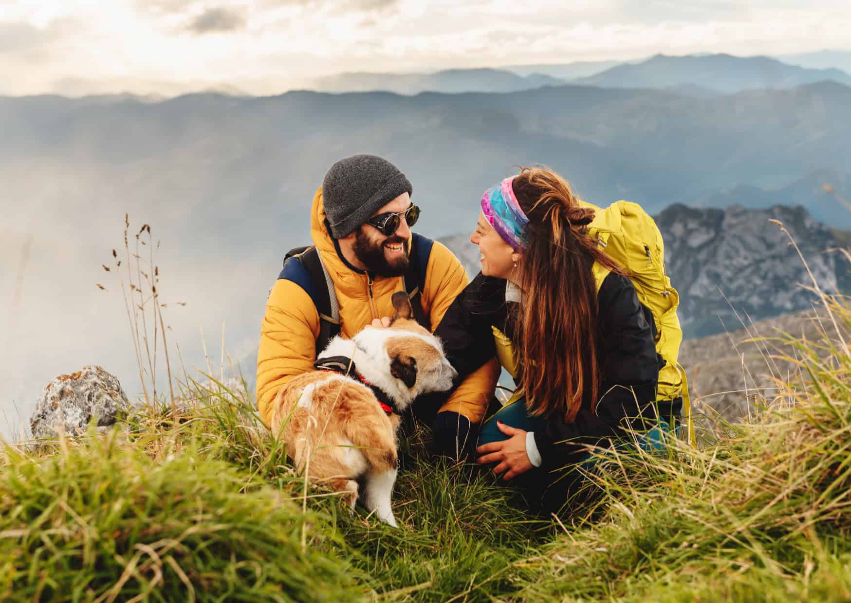 pet friendly travel destinations