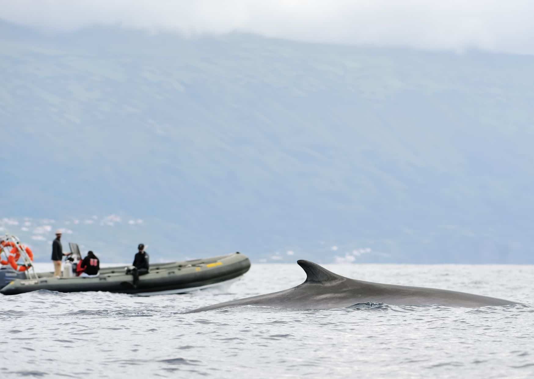 10 Common Mistakes to Avoid in the Azores and How to Avoid Them