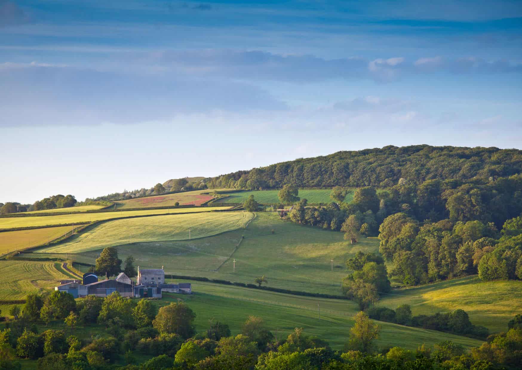 Cotswolds