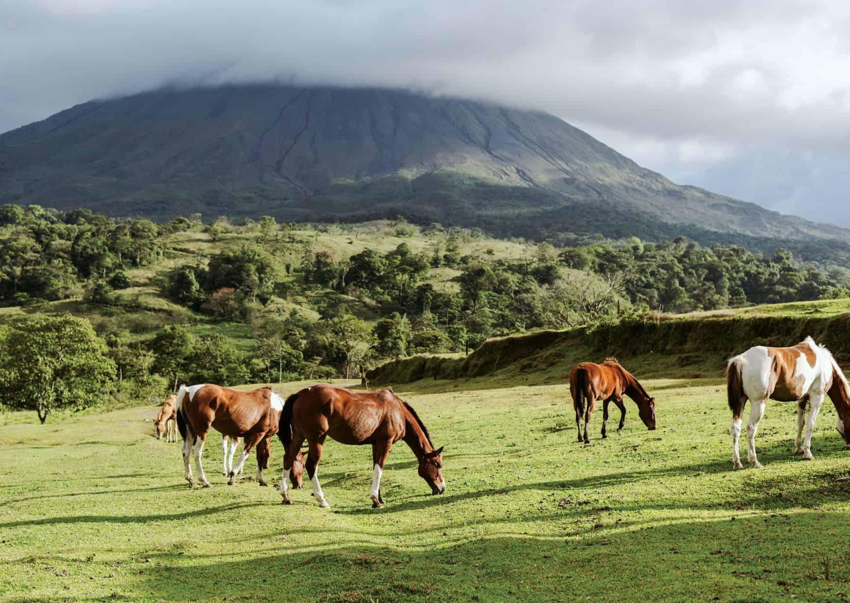 15 Unspoken Rules of Costa Rican Life That Tourists Never Understand