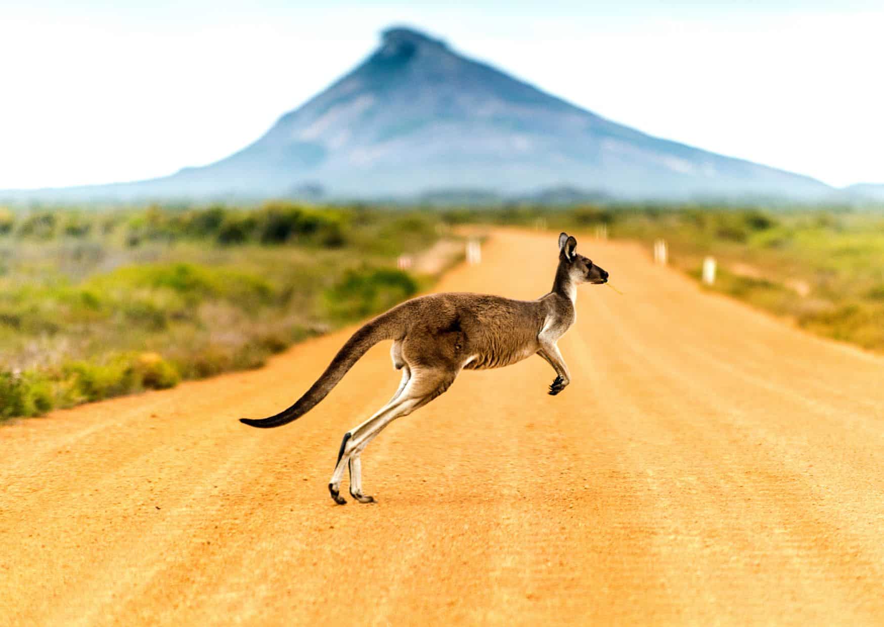 20 Unspoken Rules of Australian Life That Tourists Often Don’t Understand
