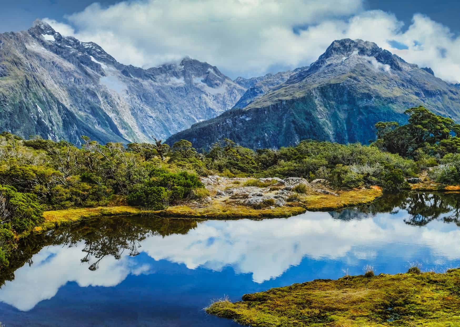 Nature 1