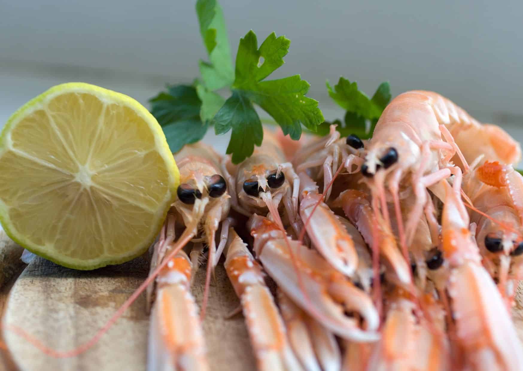 How To Make Shrimp Scampi (Recipe Guide)