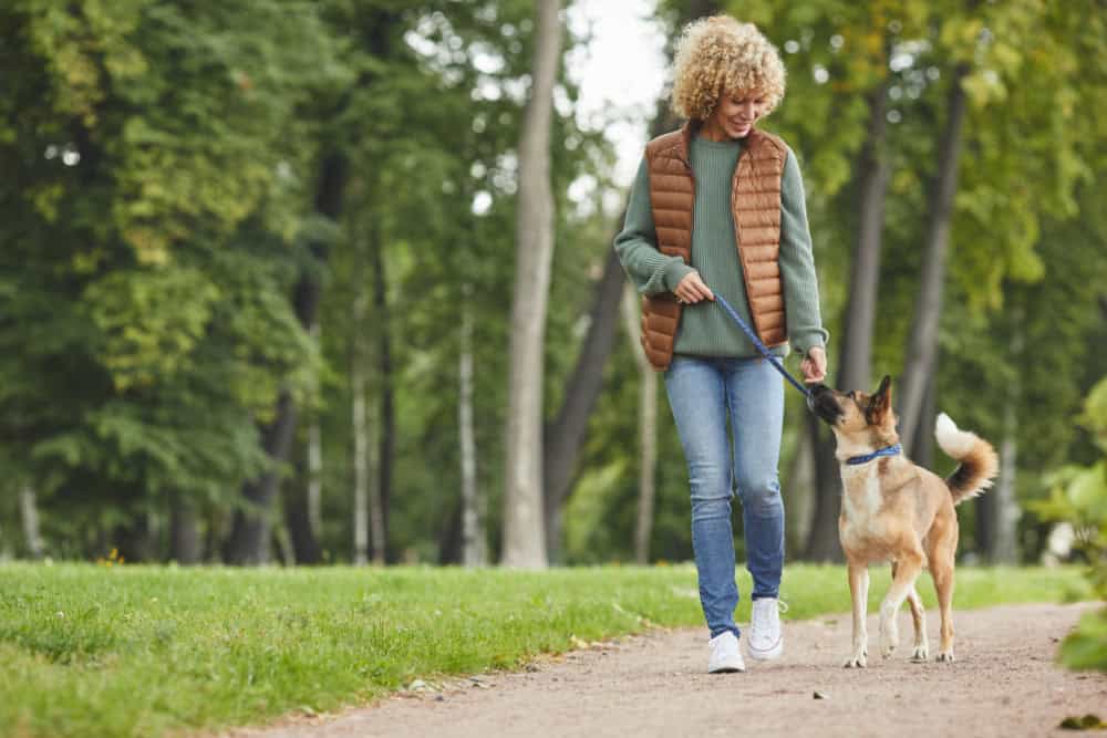 Why Europeans Never ‘Diet—Yet Somehow Stay Healthier 5