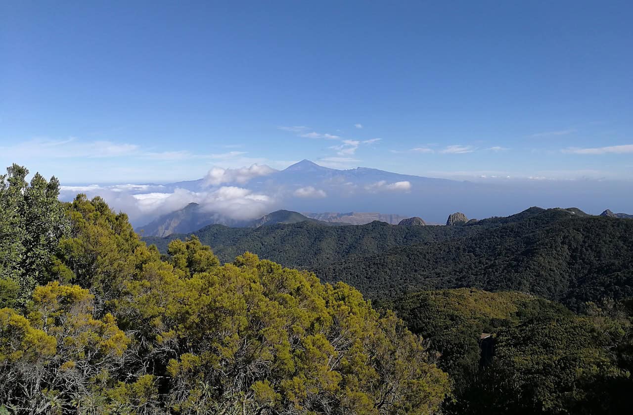 Garajonay National Park, La Gomera