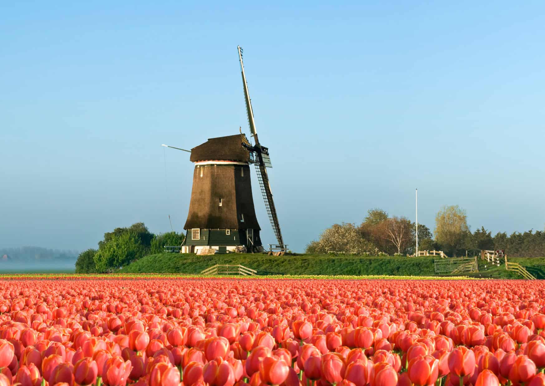 Why Europeans Celebrate Spring Completely Differently Than Americans 2