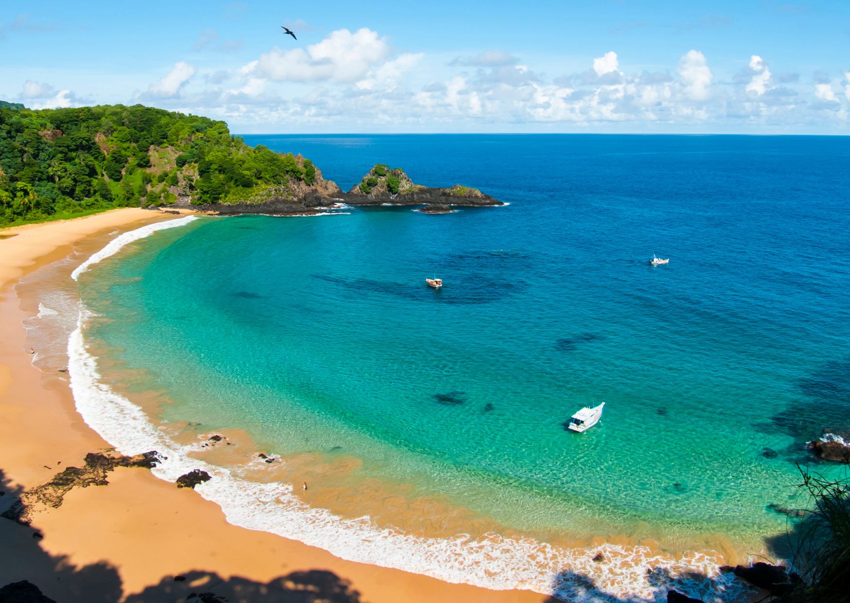 Fernando de Noronha Brazil