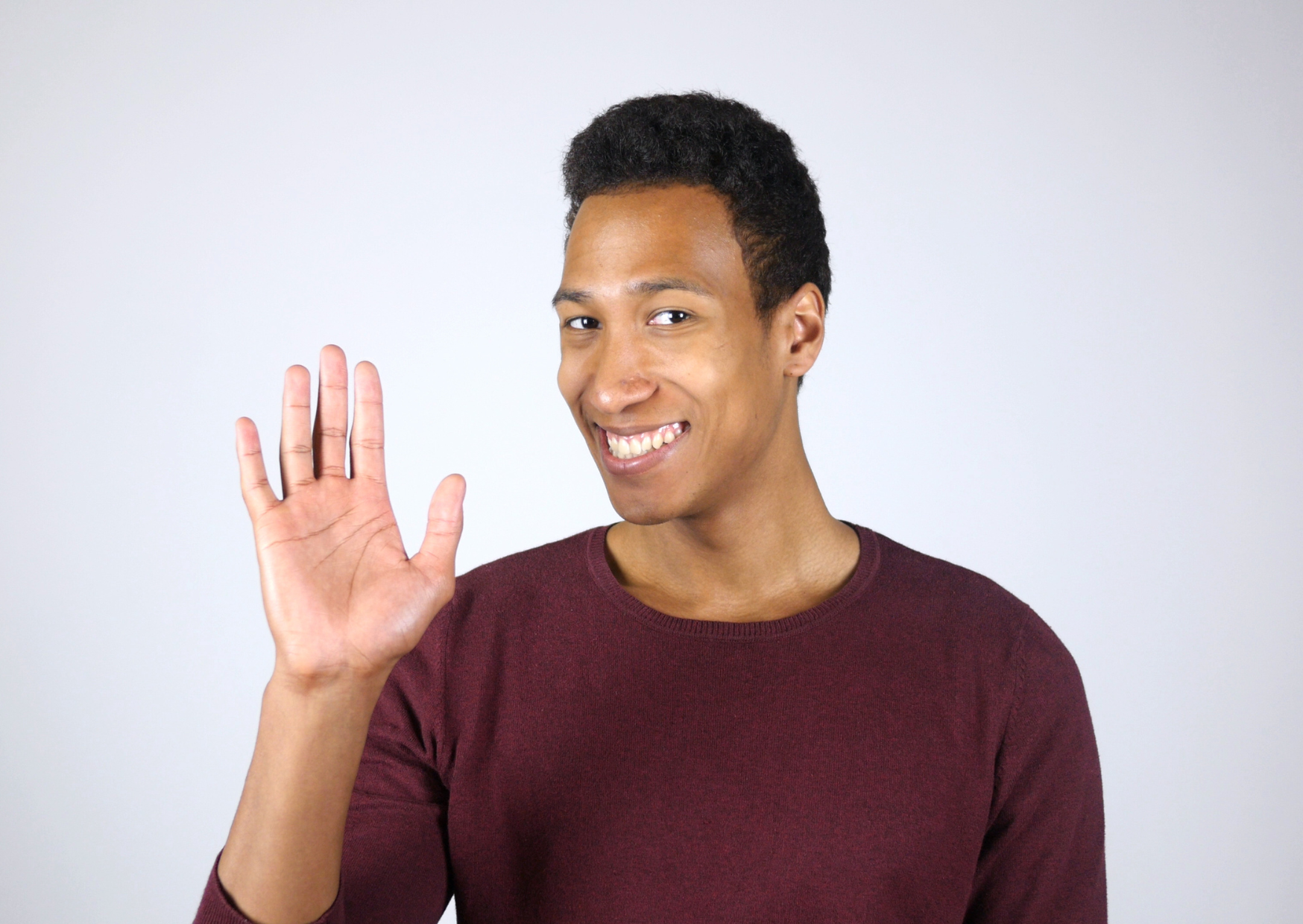 Hand Gesture 2