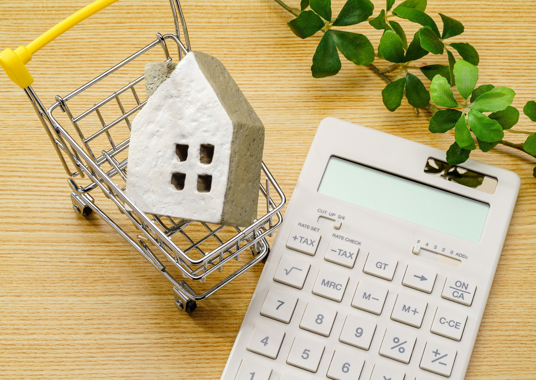 Portuguese Property Purchase 2