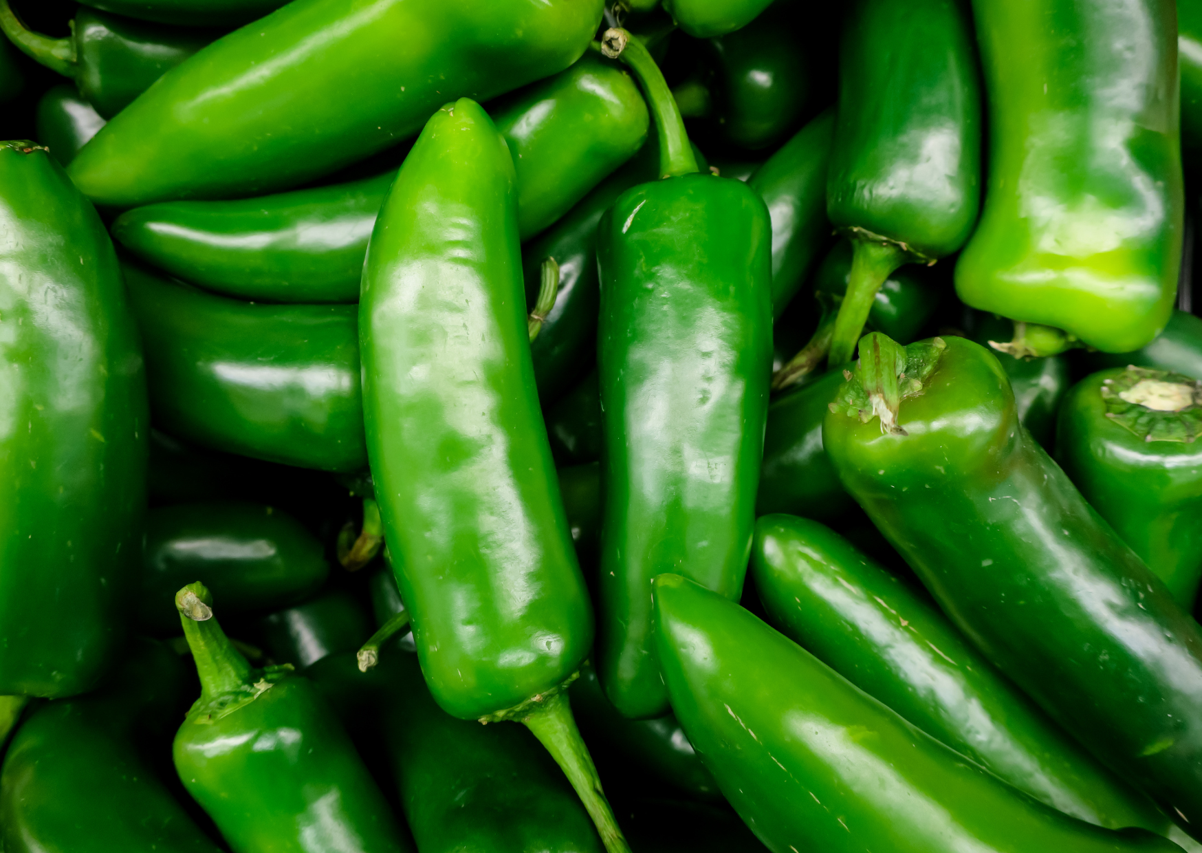 Scotch Bonnet 4