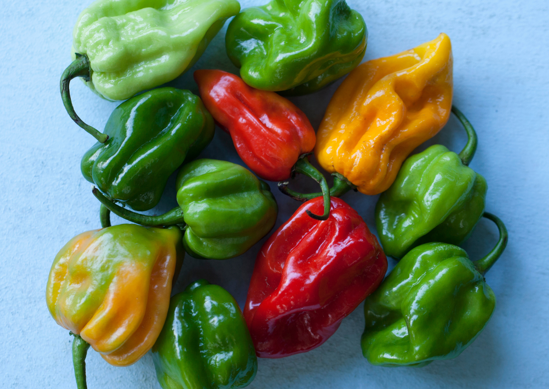 Scotch Bonnet