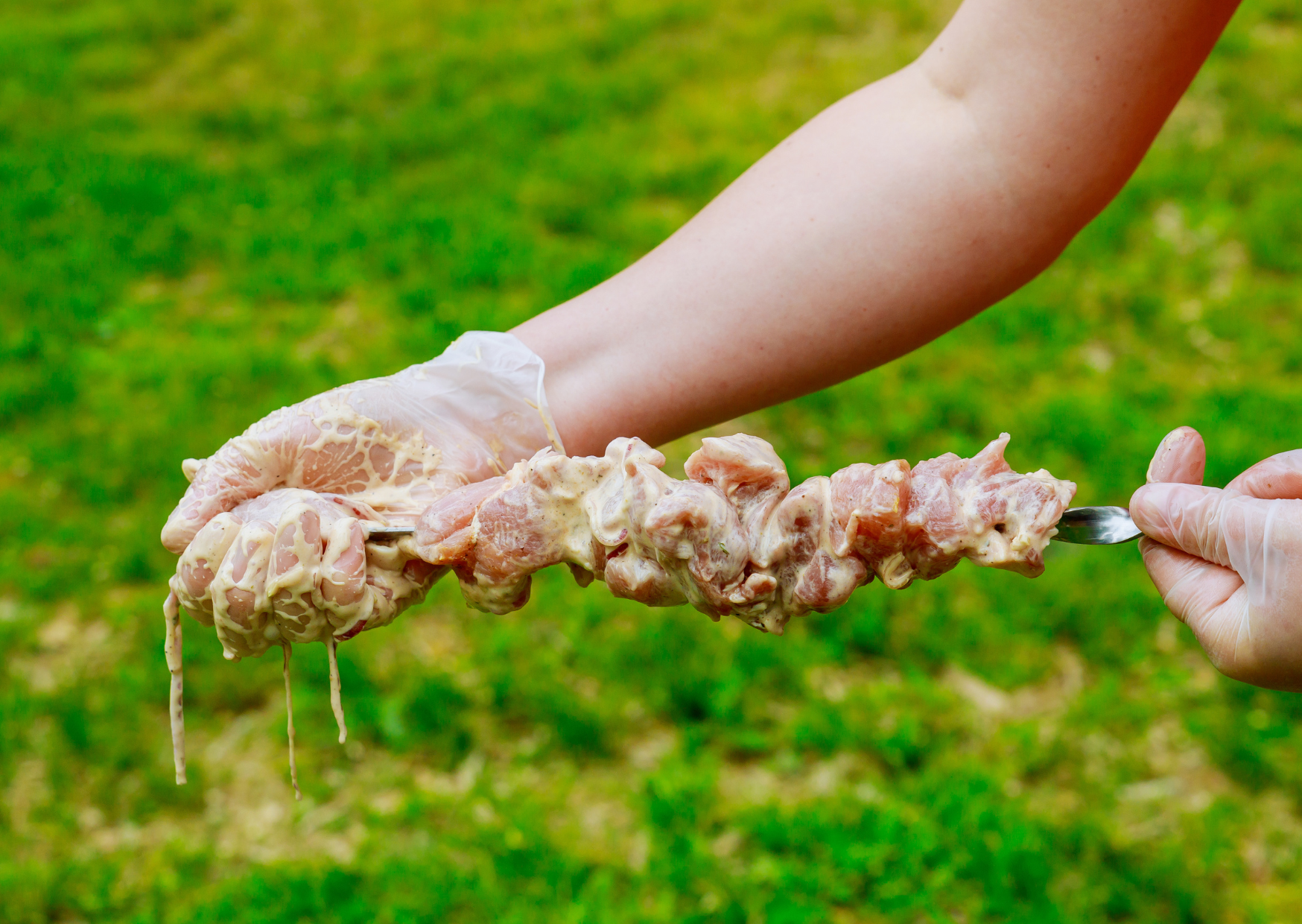 Souvlaki 4