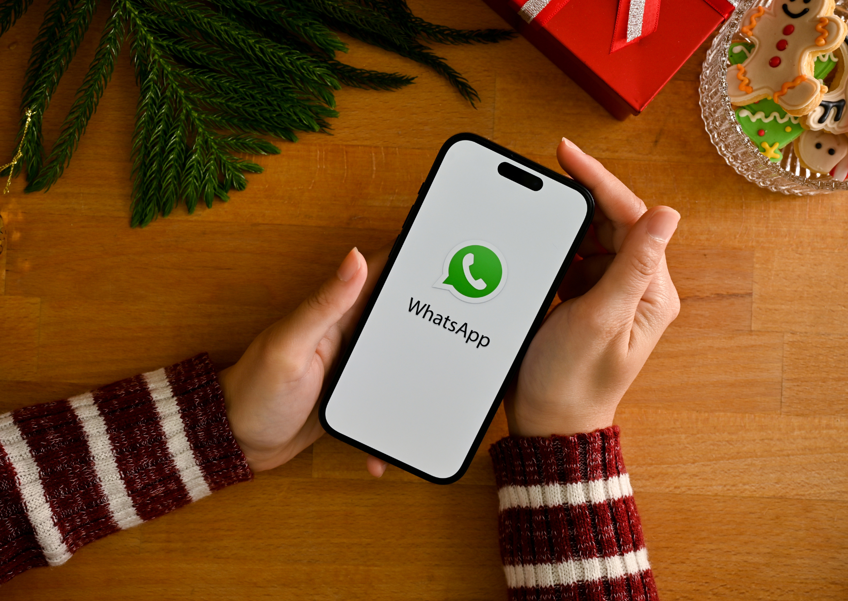 Whatsapp Read Receipt 6