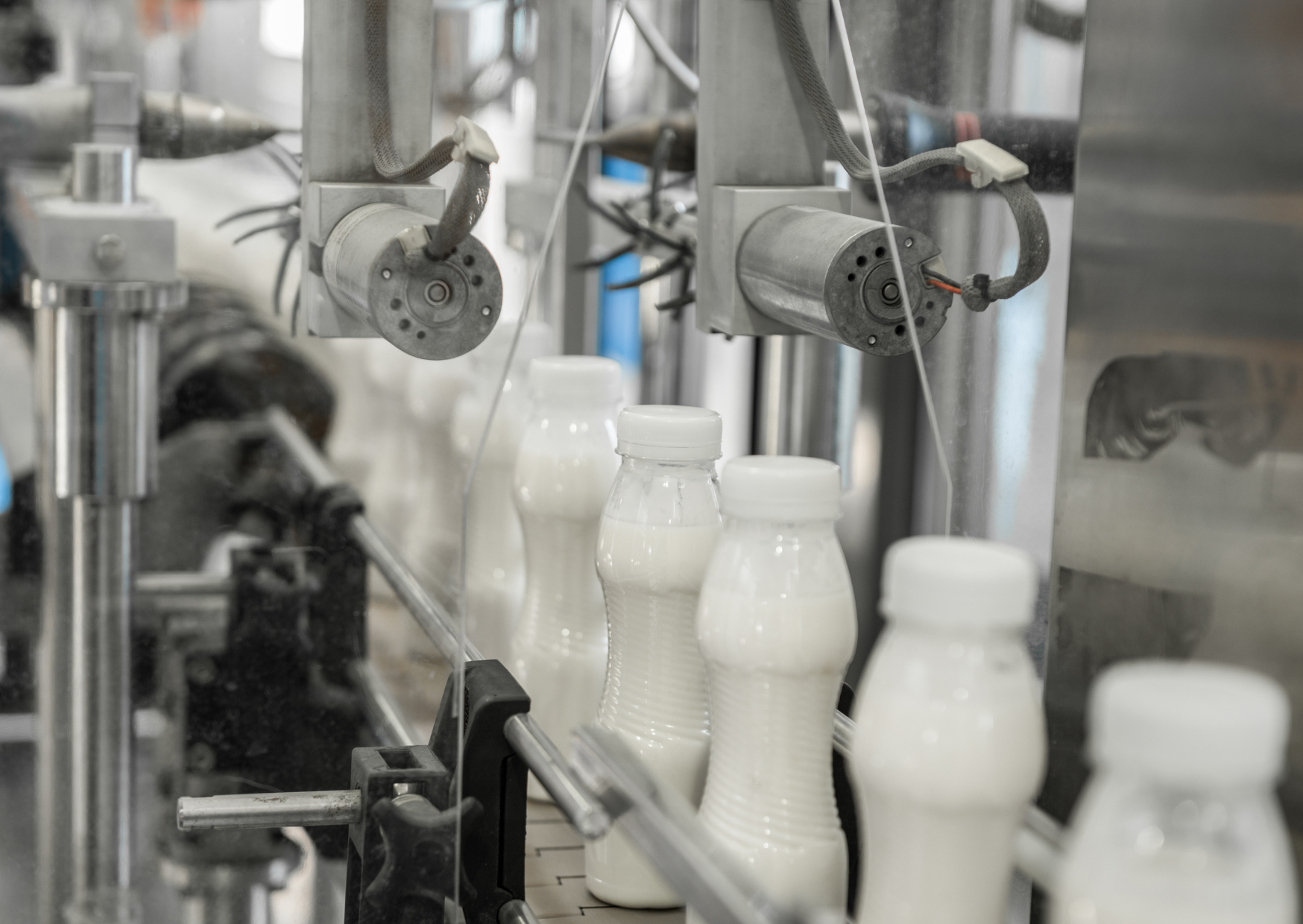 milk processing