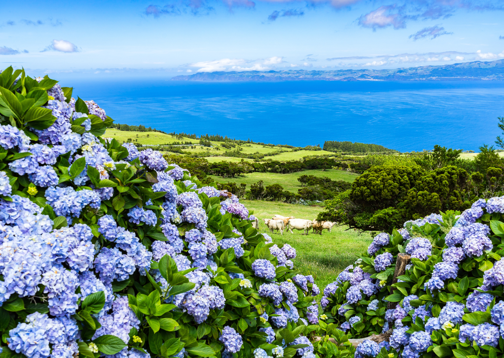 Azores