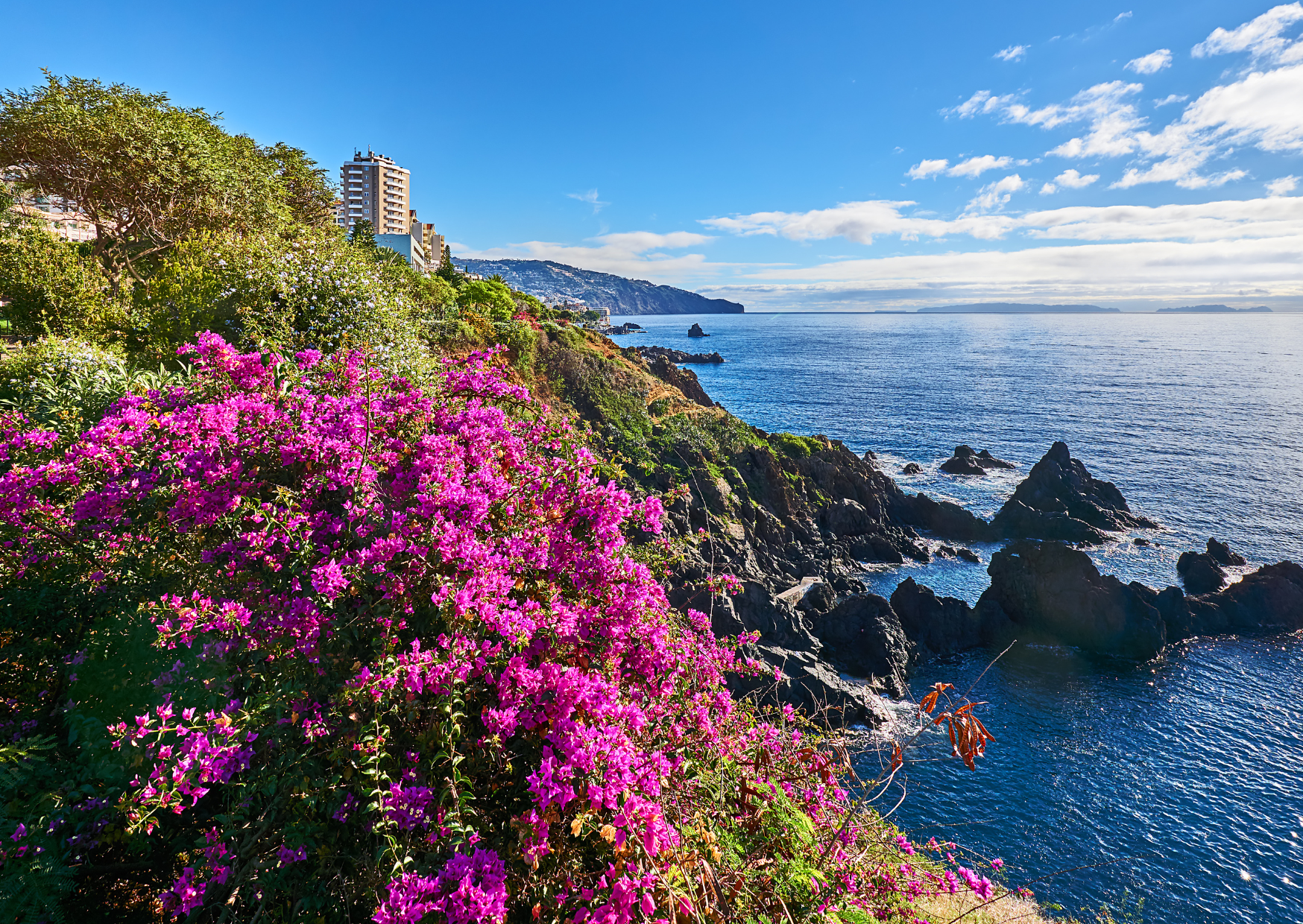 Portuguese island 4