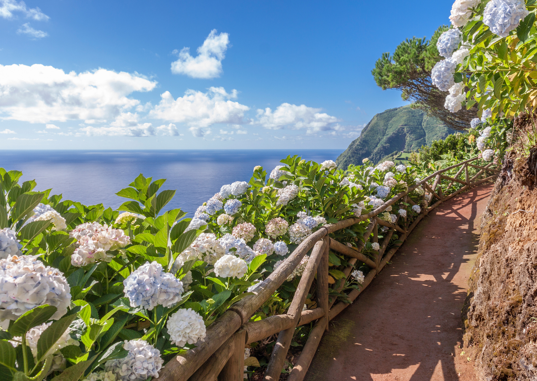Sao Miguel Azores 2