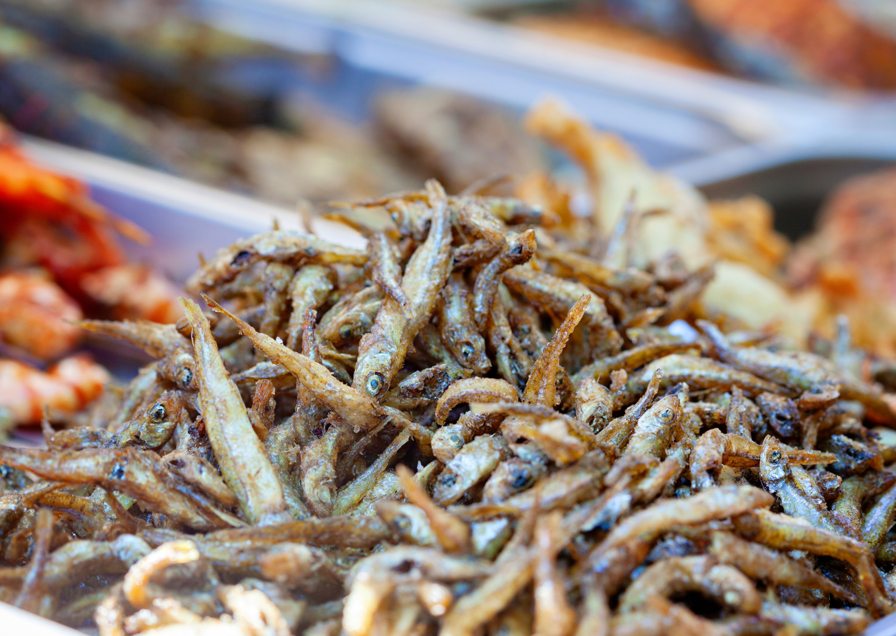 Spanish Anchovies