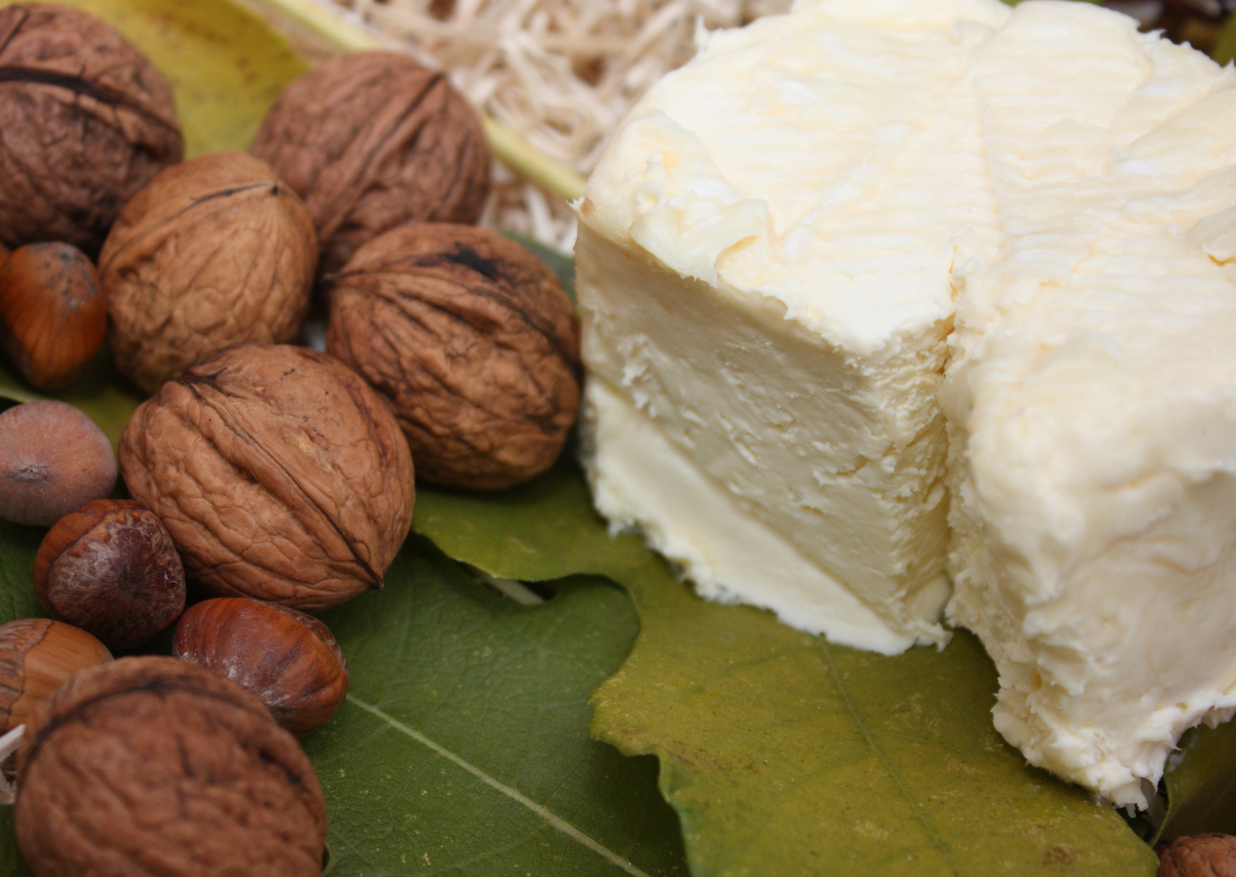 cheese 6