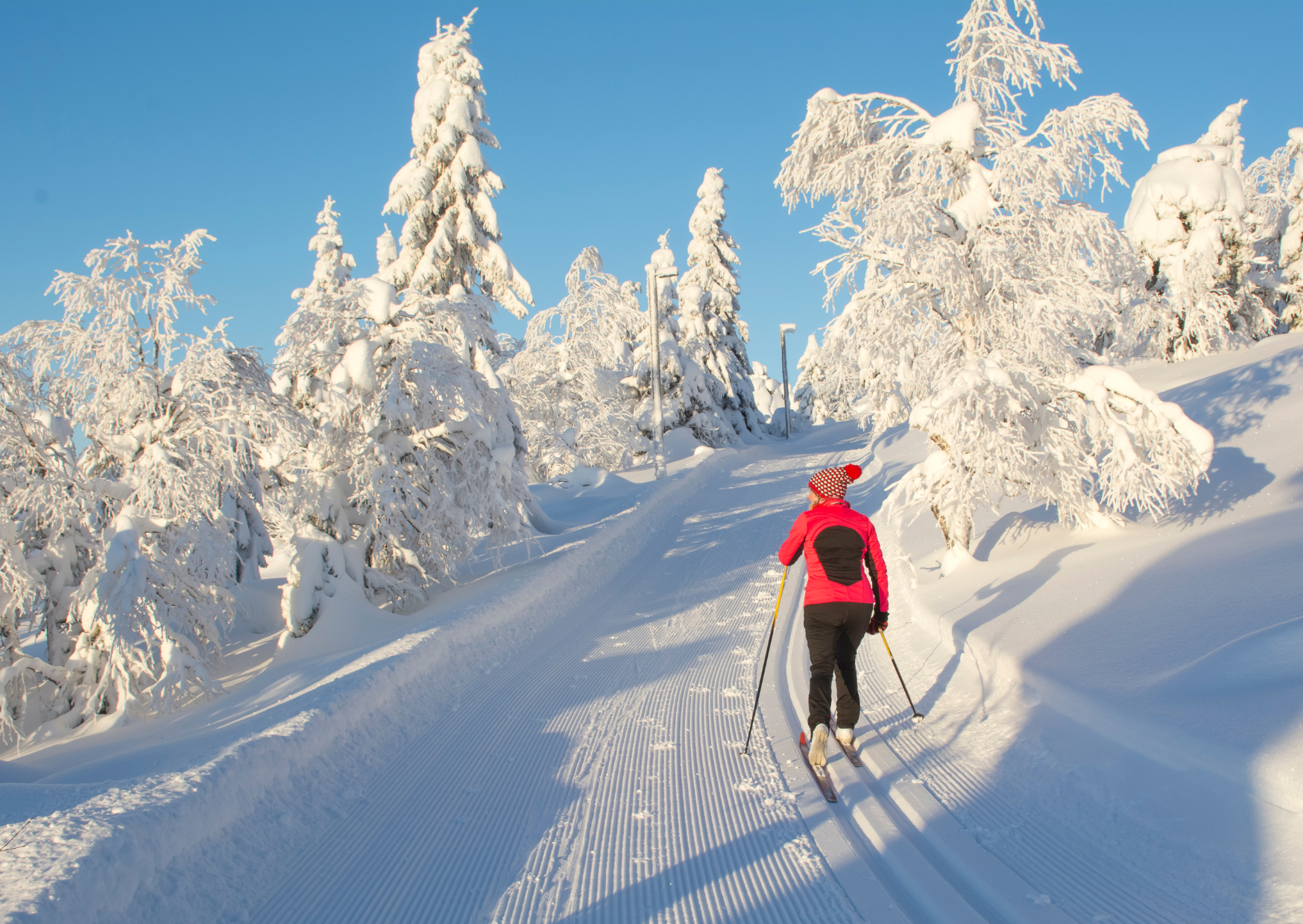 skiing in Europe 4