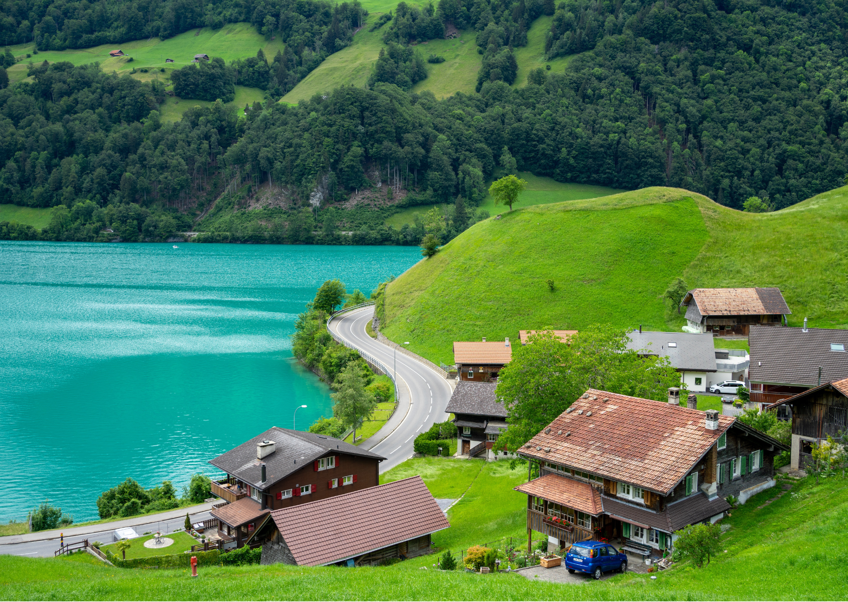 swiss 6
