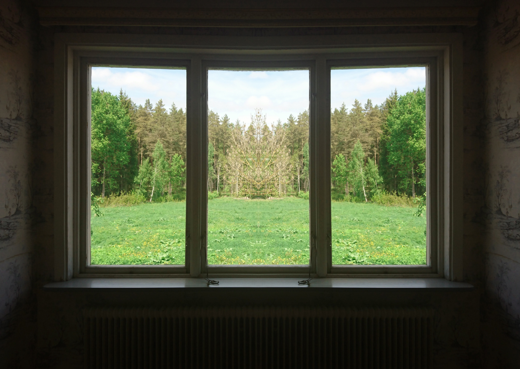 Austrian window 2