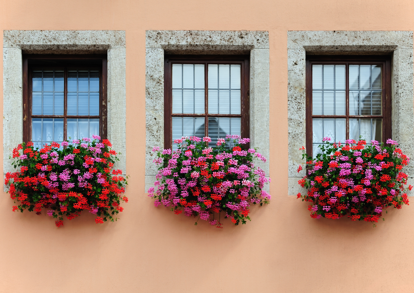 Austrian window 4