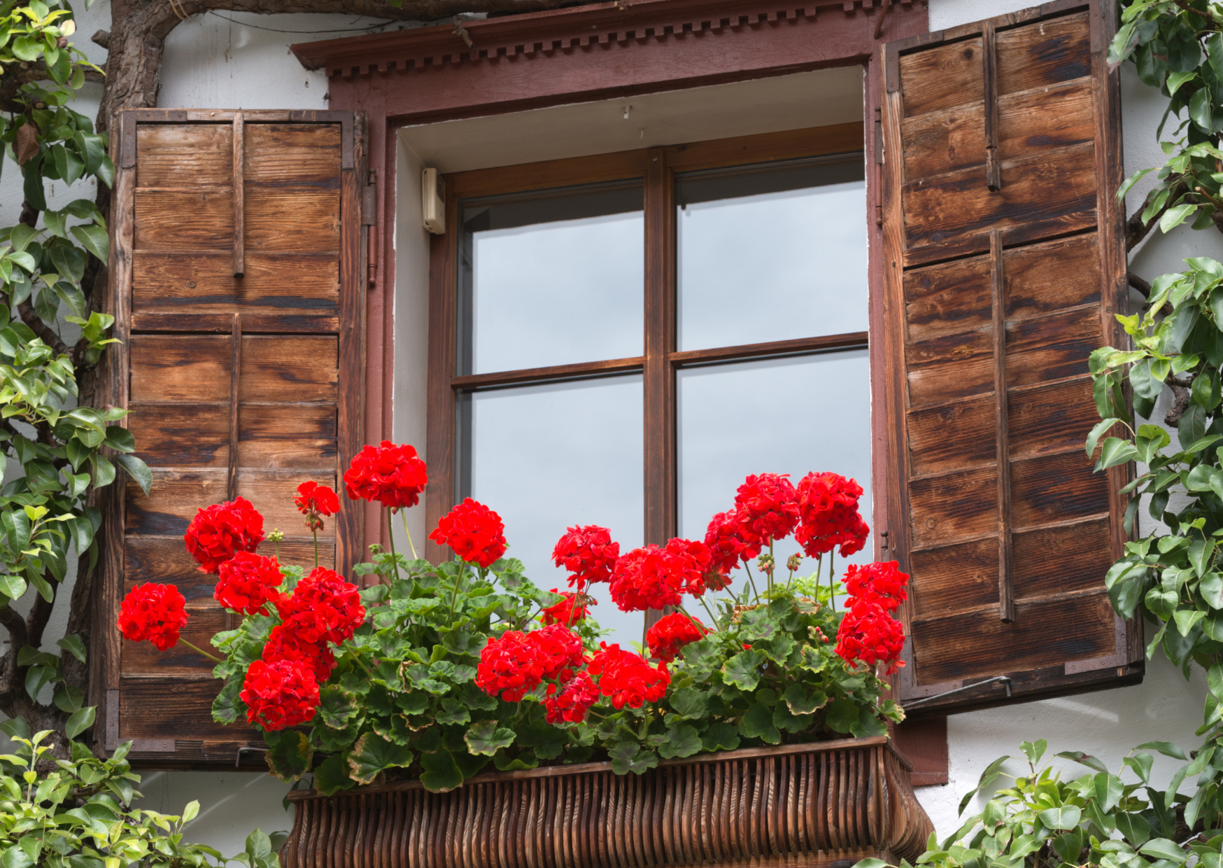 Austrian window 6