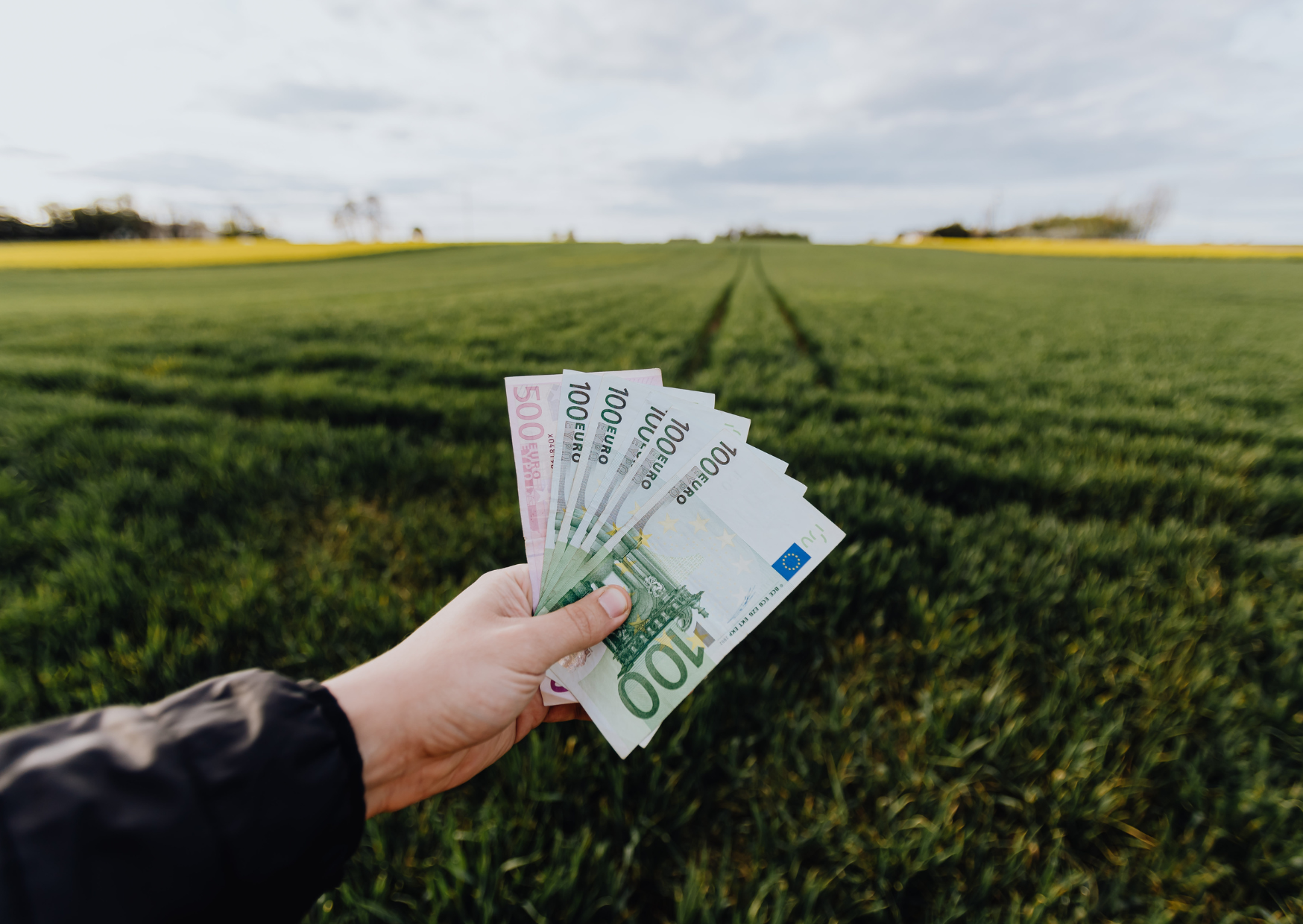 Europeans pay cash 5