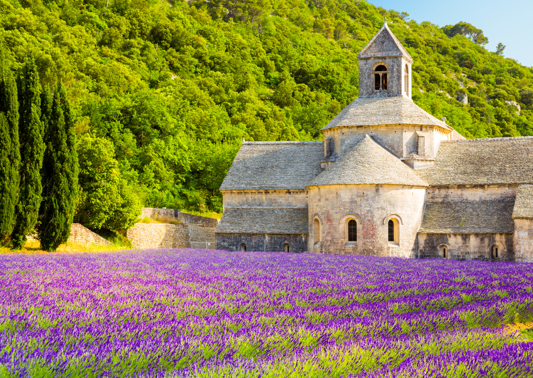 Life in France