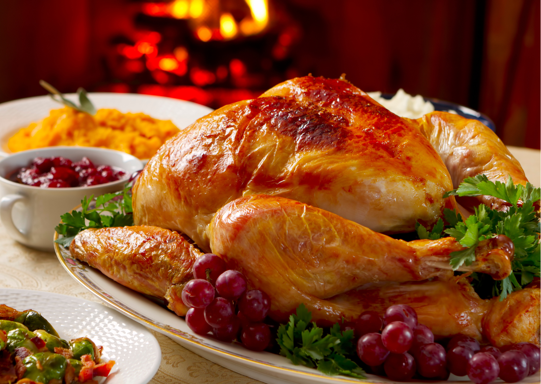Spanish Turkey 2