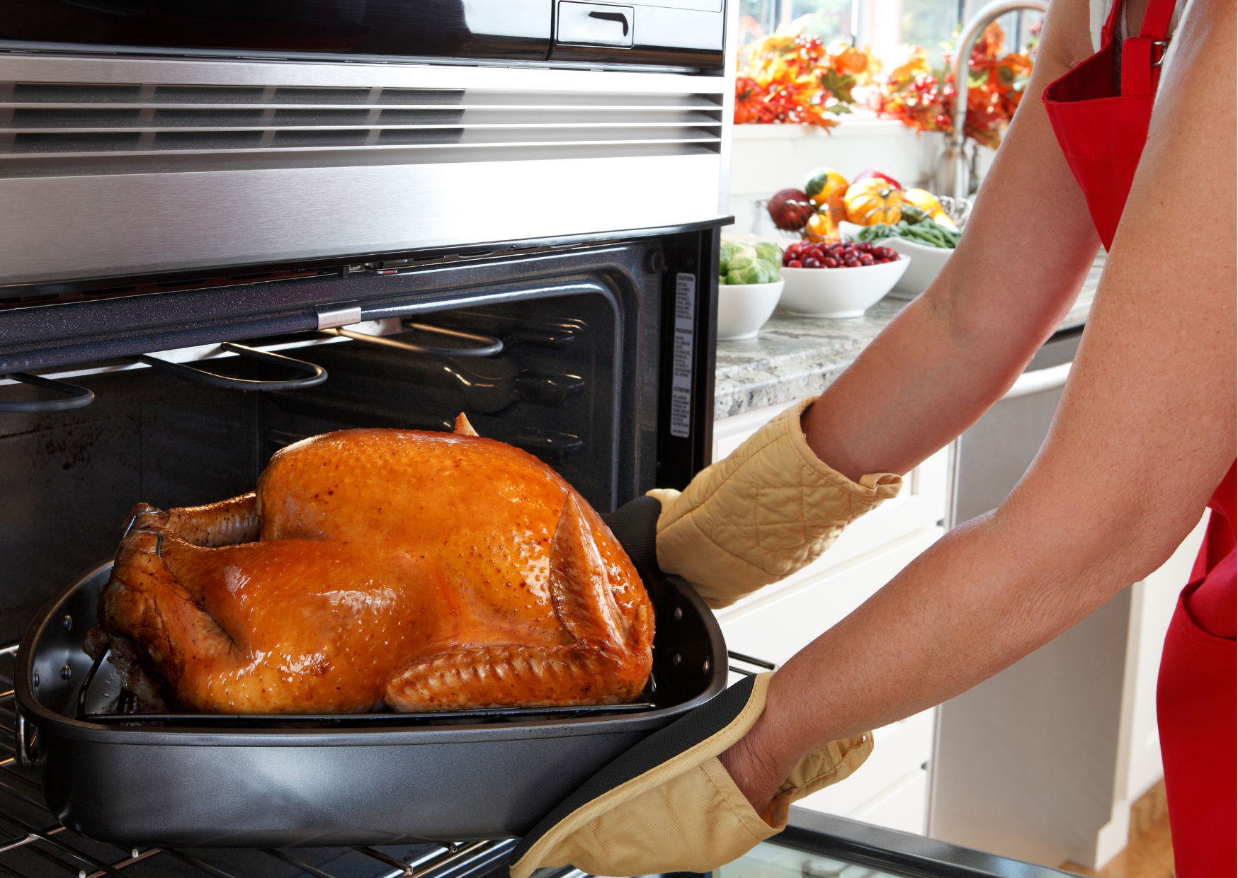 Spanish Turkey 4