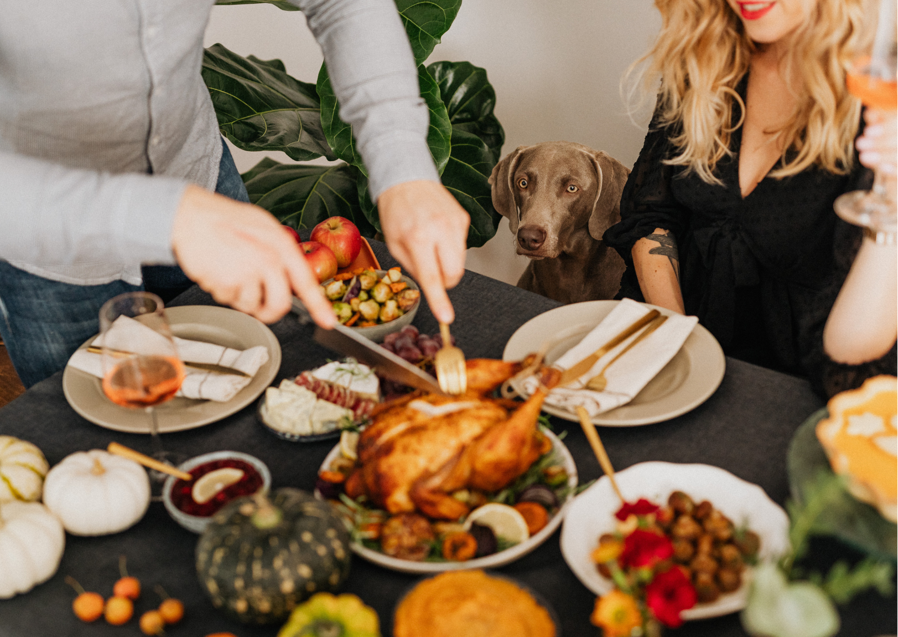 The 17 Thanksgiving Ingredients Banned in Europe, Why Your Turkey Table Looks Different Here 1 Thanksgiving celebration 3