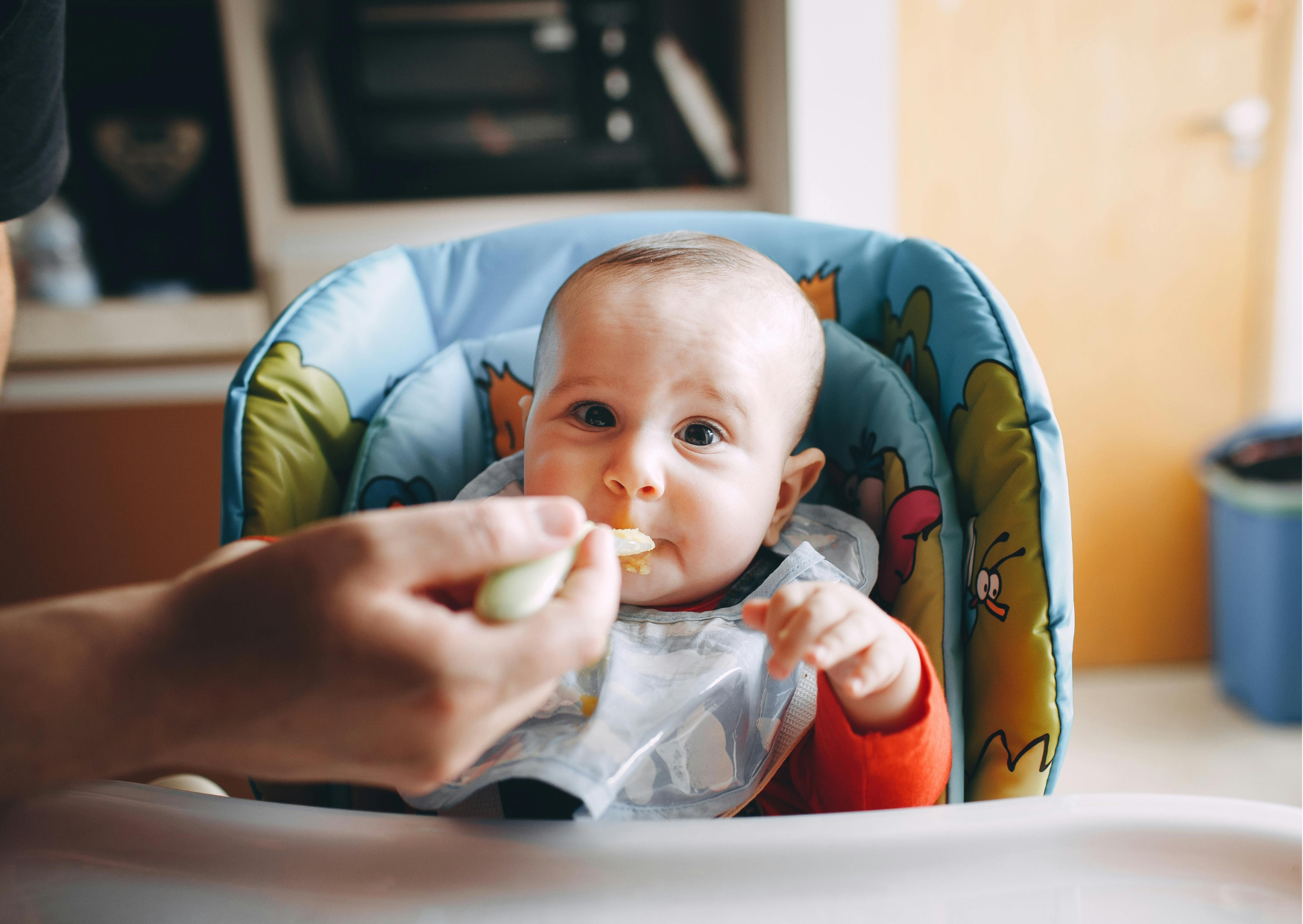 american baby food 5