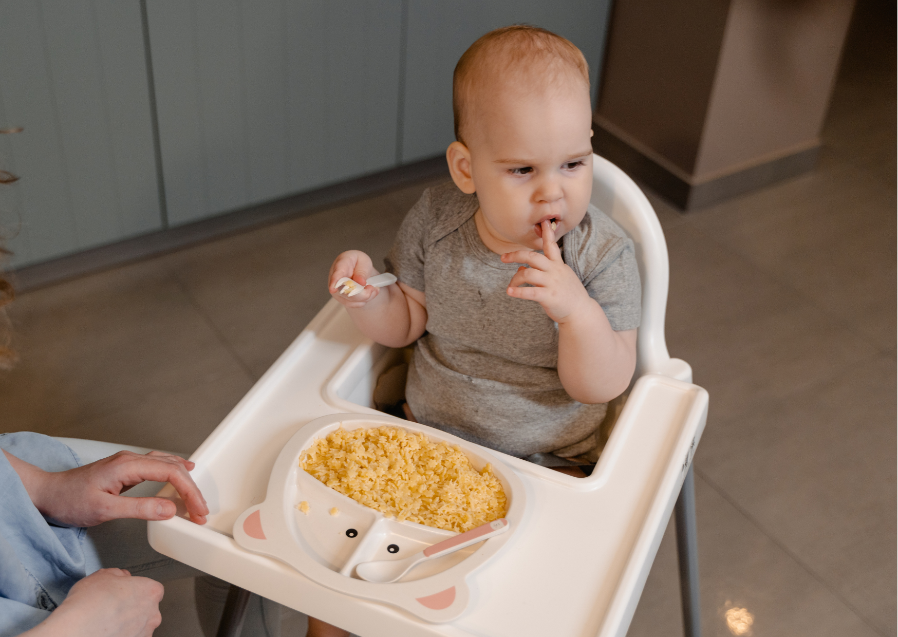 american baby food 6