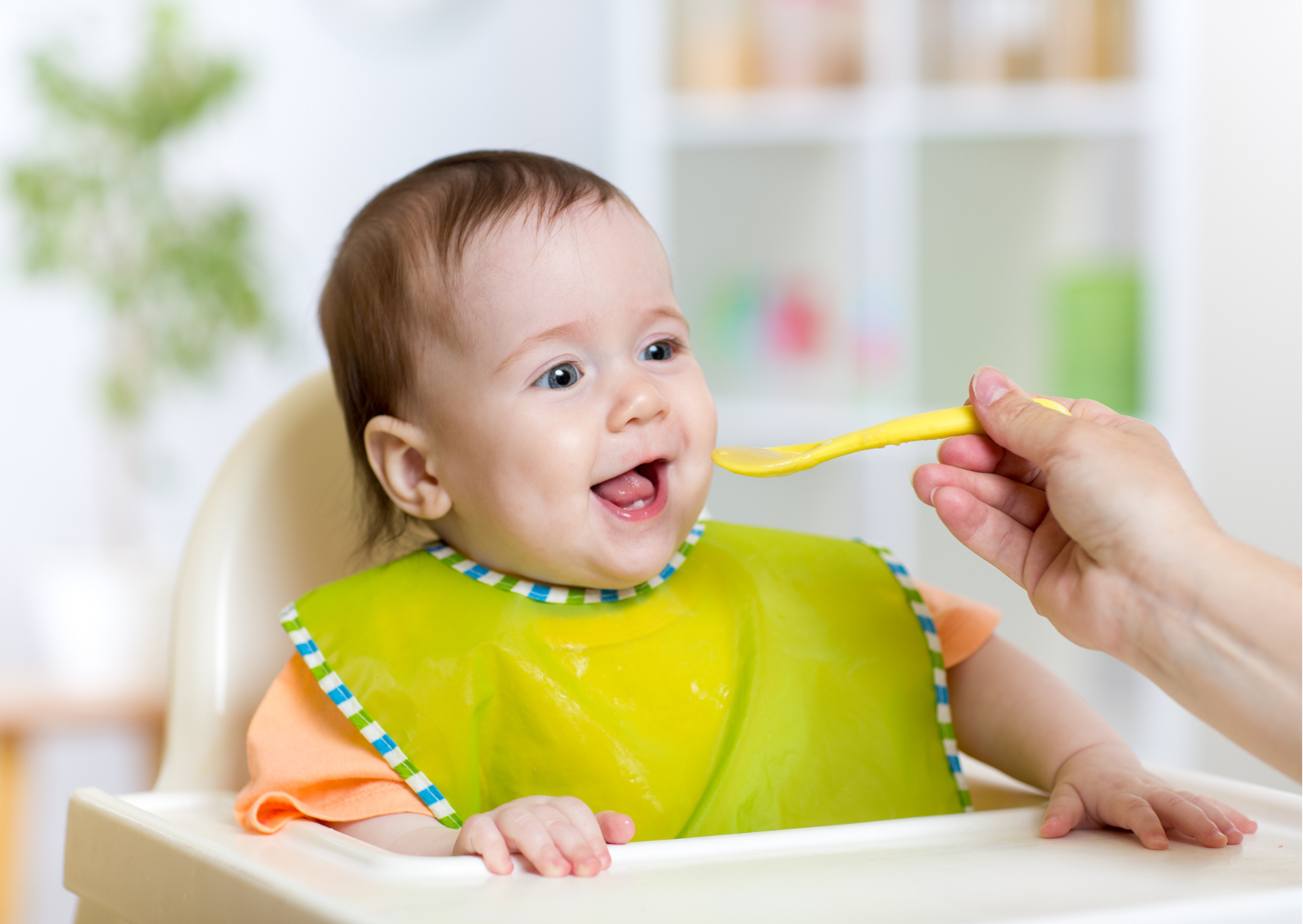 american baby food